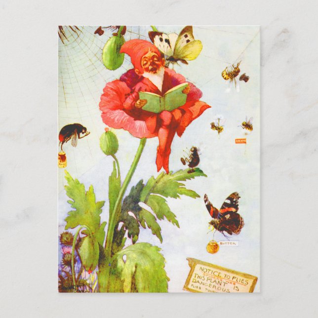 Poppy Gnome Postkarte (Vorderseite)