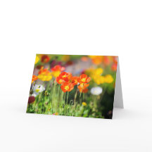 Poppy-Grußkarte
