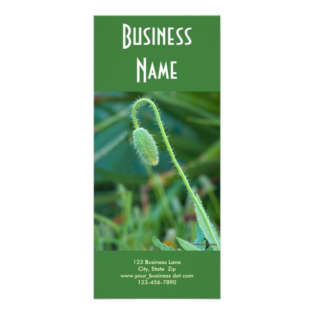 Poppy im Gange Werbekarte (Vorne)