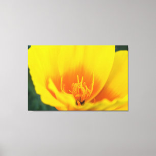 Poppy Leinwanddruck