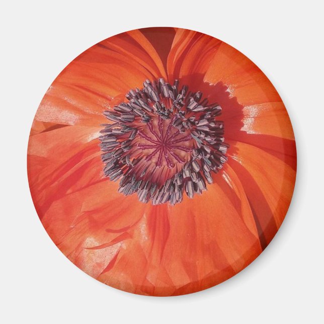 Poppy Magnet (Vorne)