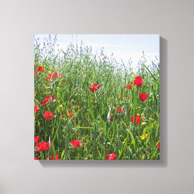 Poppy Meadow Leinwand (Vorderseite)