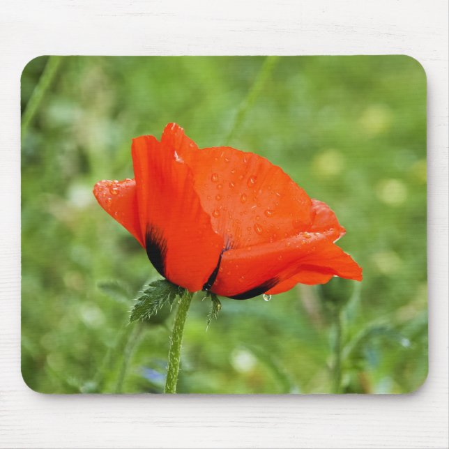 Poppy Mousepad (Vorne)