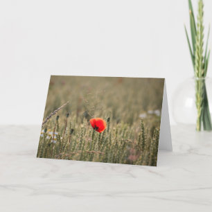 Poppy Nature Foto Karte