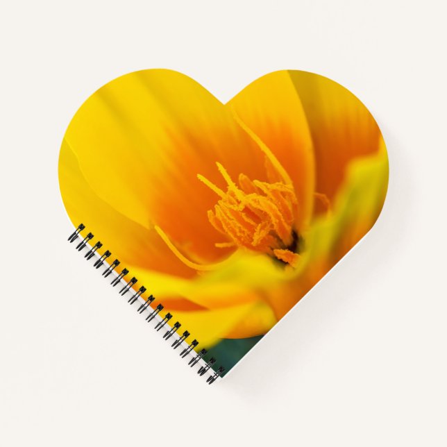 Poppy Notizbuch (Vorderseite)