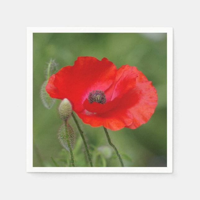Poppy Paper Napkins Serviette (Vorderseite)