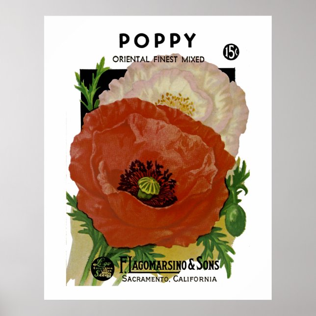 Poppy Poster (Vorne)