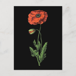 Poppy Postkarte