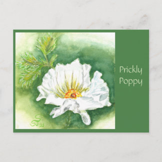 Poppy-Postkarte Postkarte