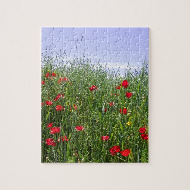 Poppy Puzzle (Vertikal)