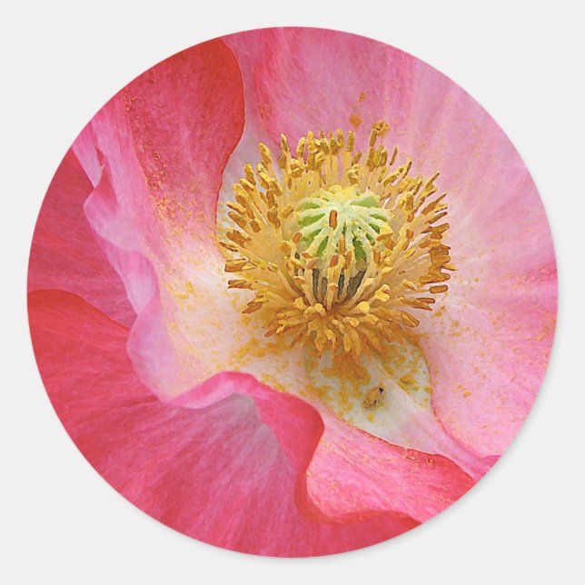 Poppy Runder Aufkleber (Vorderseite)