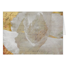 Poppy Sepia-Jeden Anlaß Blank Inside Gruß