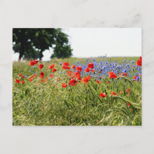 Poppyfield Postkarte