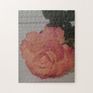 Poppys letzte Rose