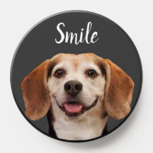 Charmant chien Beagle souriant