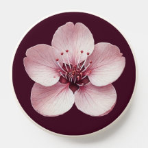 Fleur Cherry Blossom