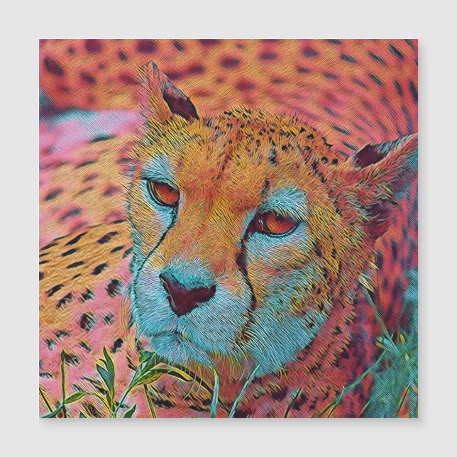Populäre Tiere - Geparden Magnetkarte (Vorderseite)