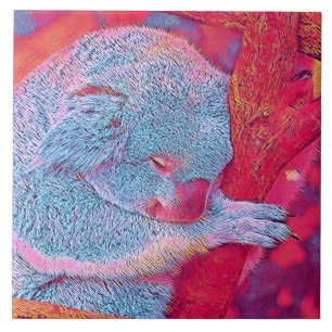 populäre Tiere - Koala Fliese