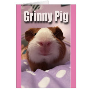 Porc de Grinny