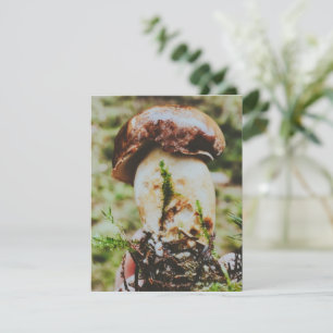 Porcini Mushroom im schwedischen Wald RSVP Karte