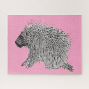 Porcupine