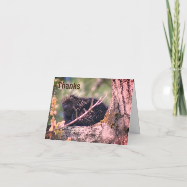 Porcupine Dans La Carte de remerciements Faune De  (Devant)