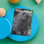 Porcupine Foto Funny Birthday Karte<br><div class="desc">Noch ein Geburtstag? Diese lustige, tierbezogene Geburtstagskarte zeigt das Foto eines schwarzen Porcupine mit ein paar grauen Quillen. Wählen Sie aus einer matten oder glänzenden Stilkarte.</div>