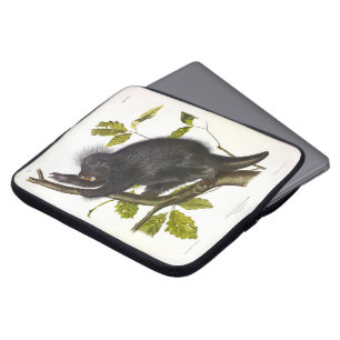 Porcupine in Nordamerika oder Kanada von Audubon Laptopschutzhülle