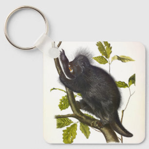 Porcupine in Nordamerika oder Kanada von Audubon Schlüsselanhänger