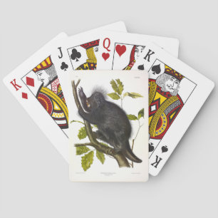 Porcupine in Nordamerika oder Kanada von Audubon Spielkarten