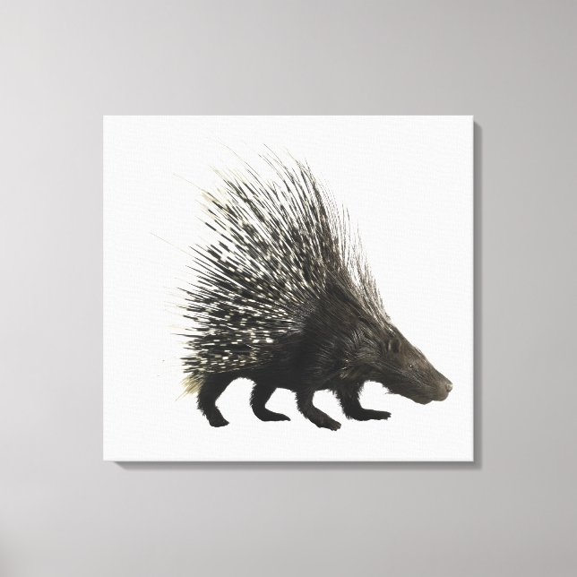 Porcupine Leinwanddruck (Vorderseite)