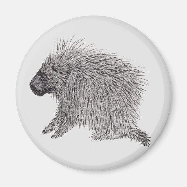 Porcupine Magnet (Vorne)
