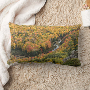 Porcupine Mountains Wilderness State Park Lendenkissen