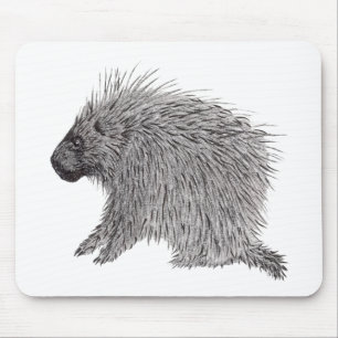 Porcupine Mousepad