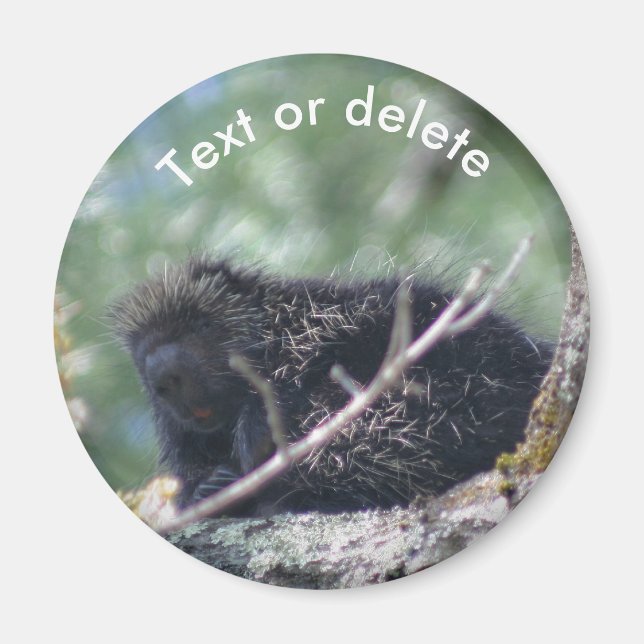 Porcupine Wildlife Animal Nature Personalized Magnet (Vorne)