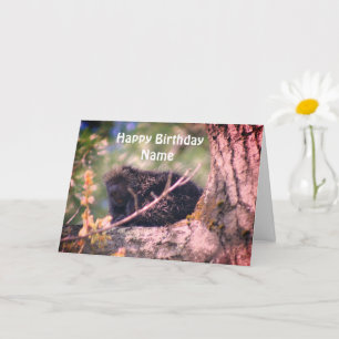 Porcupine Wildlife Personalisiert Geburtstag  Karte