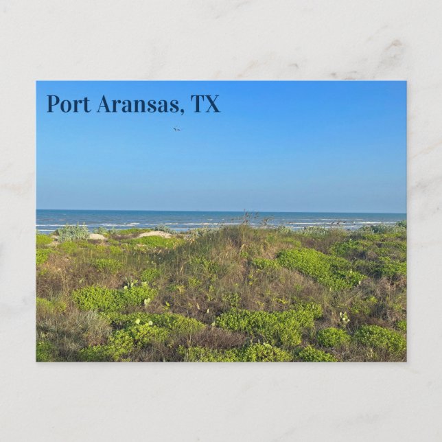 Port Aransas Texas Beach Grass Fotografie Postkarte (Vorderseite)