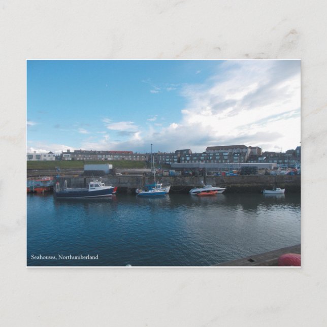 Port de Seahouses - carte postale (Devant)