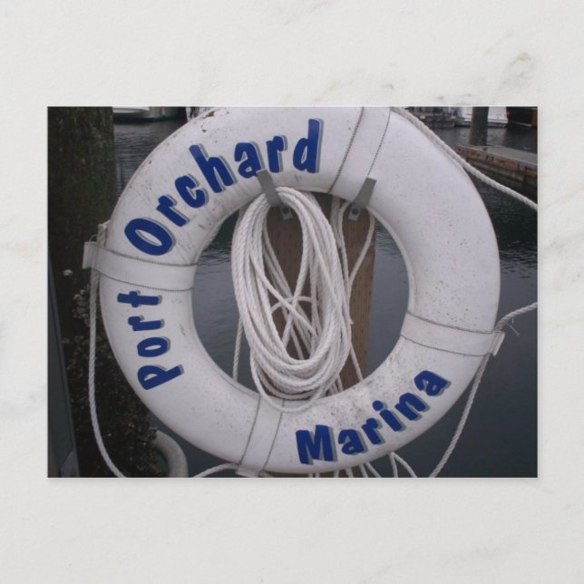 Port Orchard Marina Postcard Postkarte (Vorderseite)