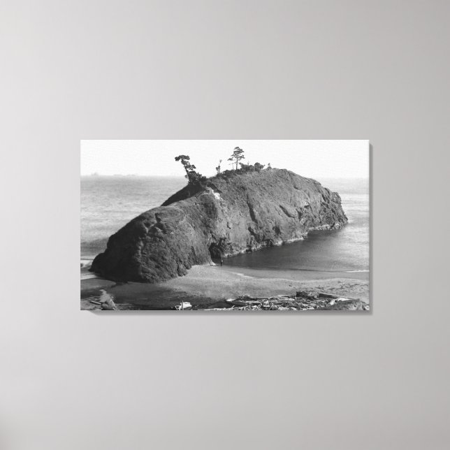 Port Orford, Oregon View of Battle Rock Coast Leinwanddruck (Vorderseite)
