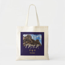 Porta Nigra in Trier Vintag Moselle Souvenir