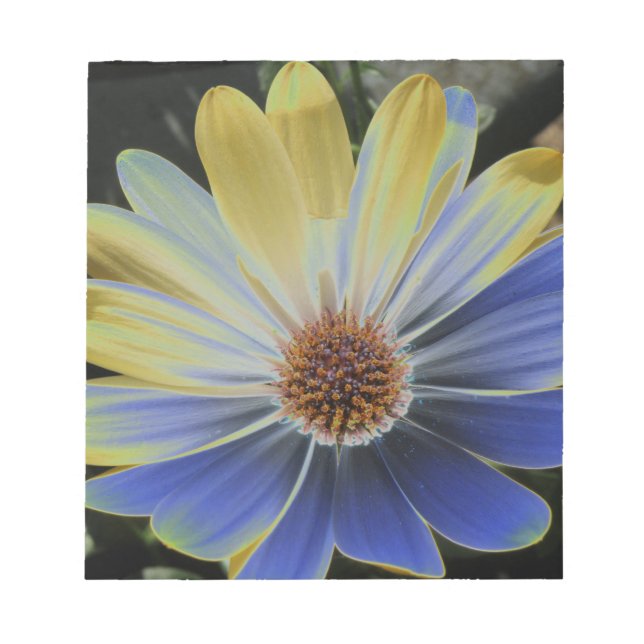 Portable Daisy africain et Bloc-notes Gold (Devant)