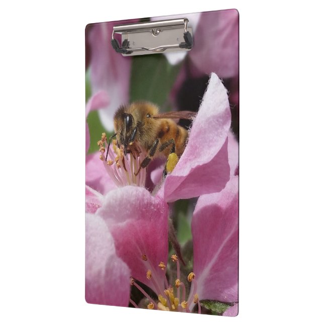 Porte-bloc Abeille de miel pollinisant la fleur rose d'arbre (Gauche)