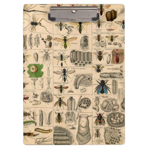 Porte-bloc Abeille Insecte Bug Wasp Nature Peinture des abeil