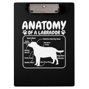 Porte-bloc Anatomie du chien du Labrador