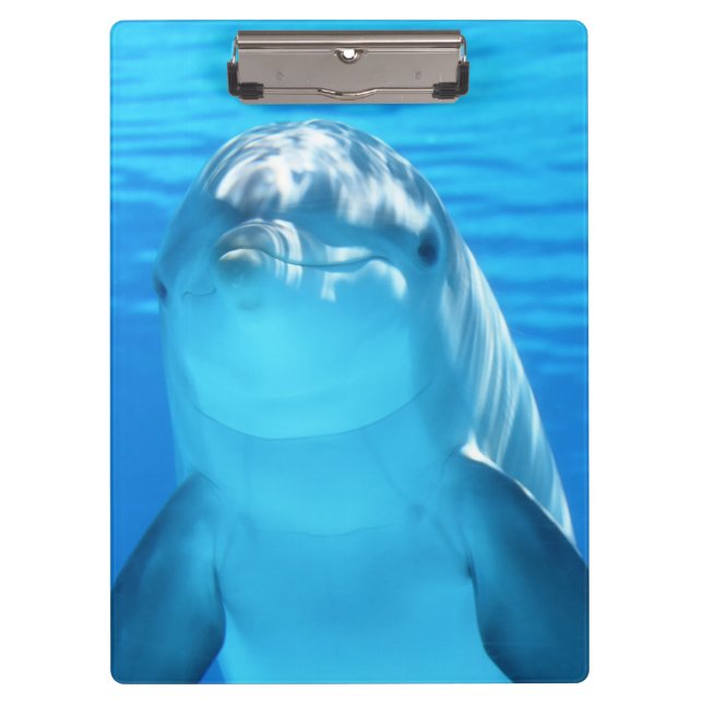Porte-bloc Animal marin de dauphin mignon en mer bleue (Devant)