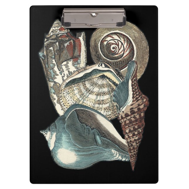 Porte-bloc Anthologie des coquillages (Devant)