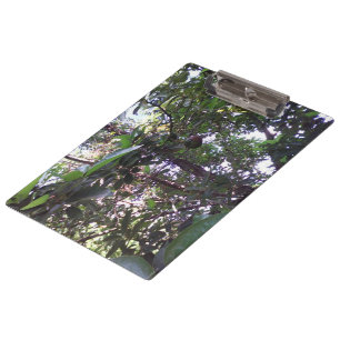 Porte-bloc Arbre d'avocat