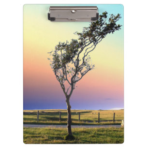 PORTE-BLOC ARBRE LONE