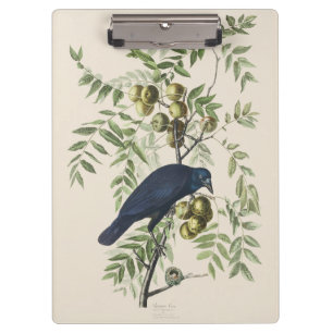 Porte-bloc Art de la nature de corbeau américain Audubon vint